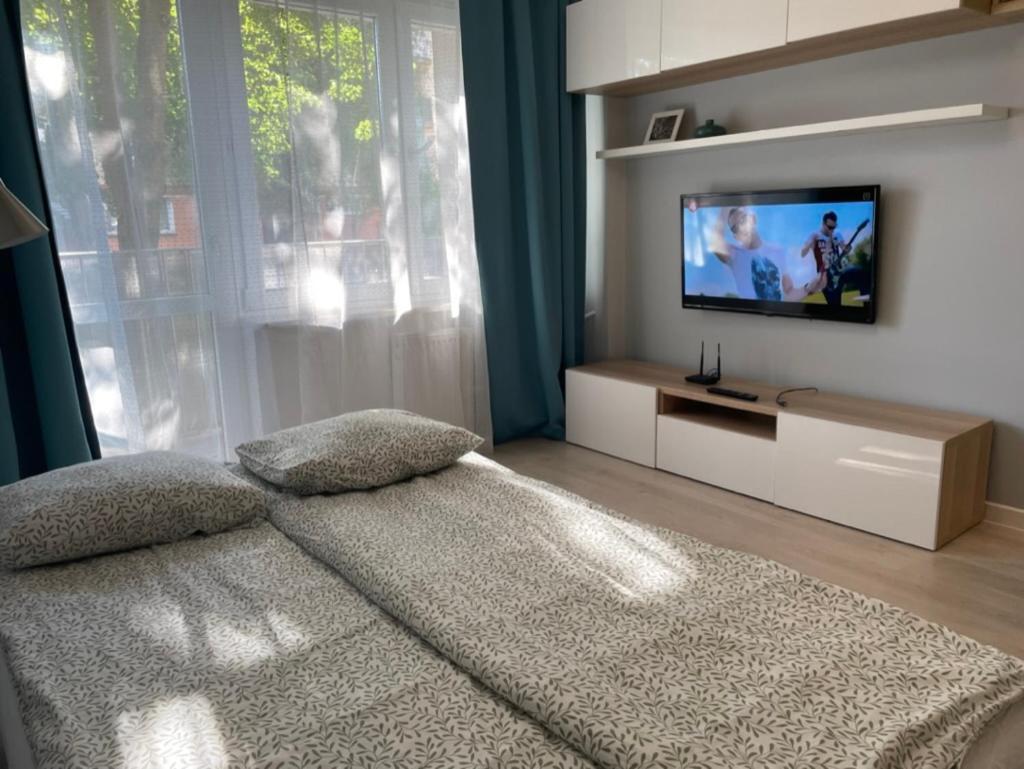 Apartment Vaduz *
